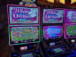 1win login Crash Games